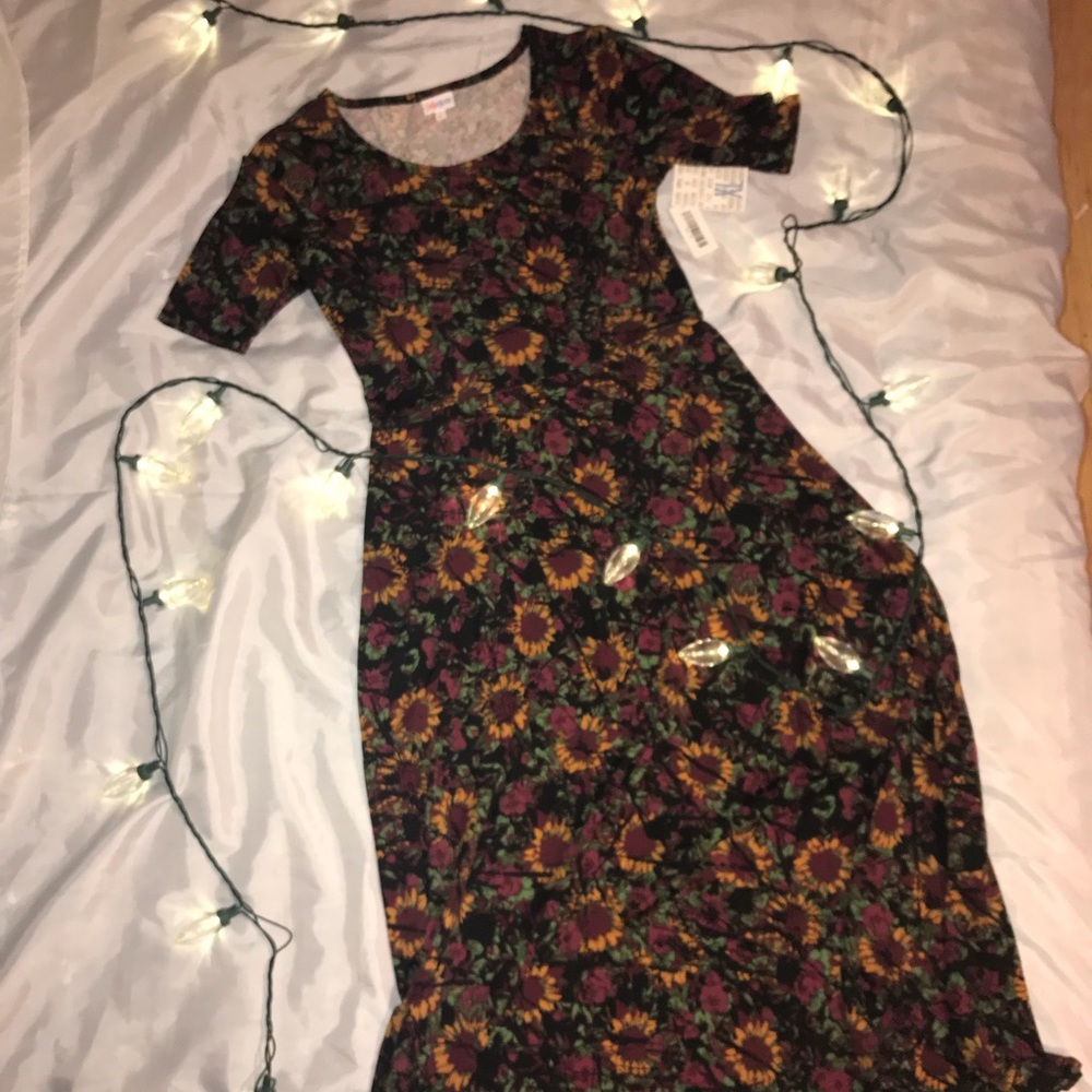 LulaRoe Ana xl